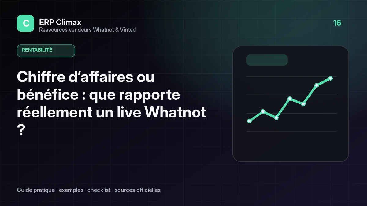 Illustration du guide : Chiffre d’affaires ou bénéfice : que rapporte réellement un live Whatnot ?